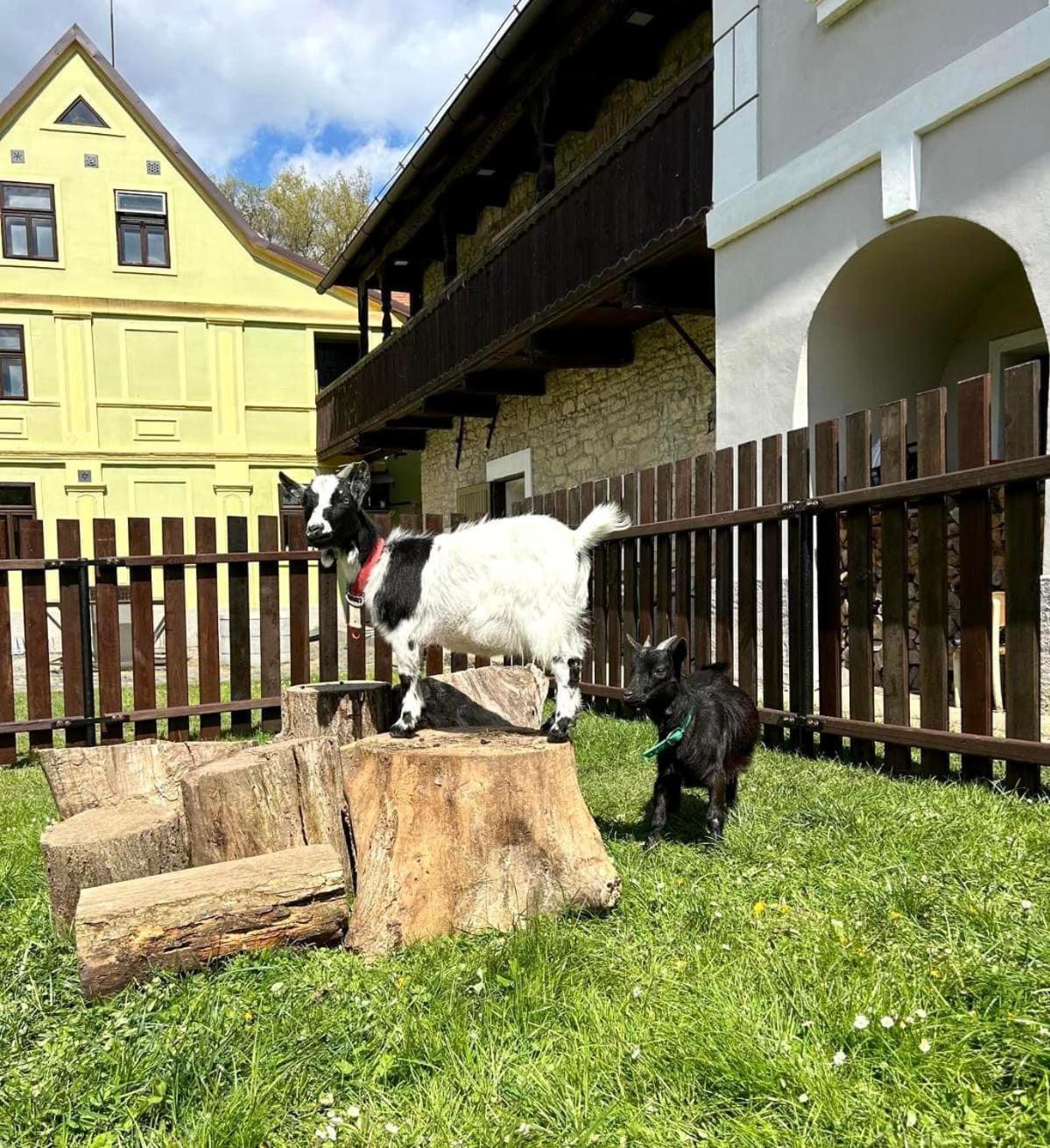 Pivovar Mlyn Štětí Exterior foto
